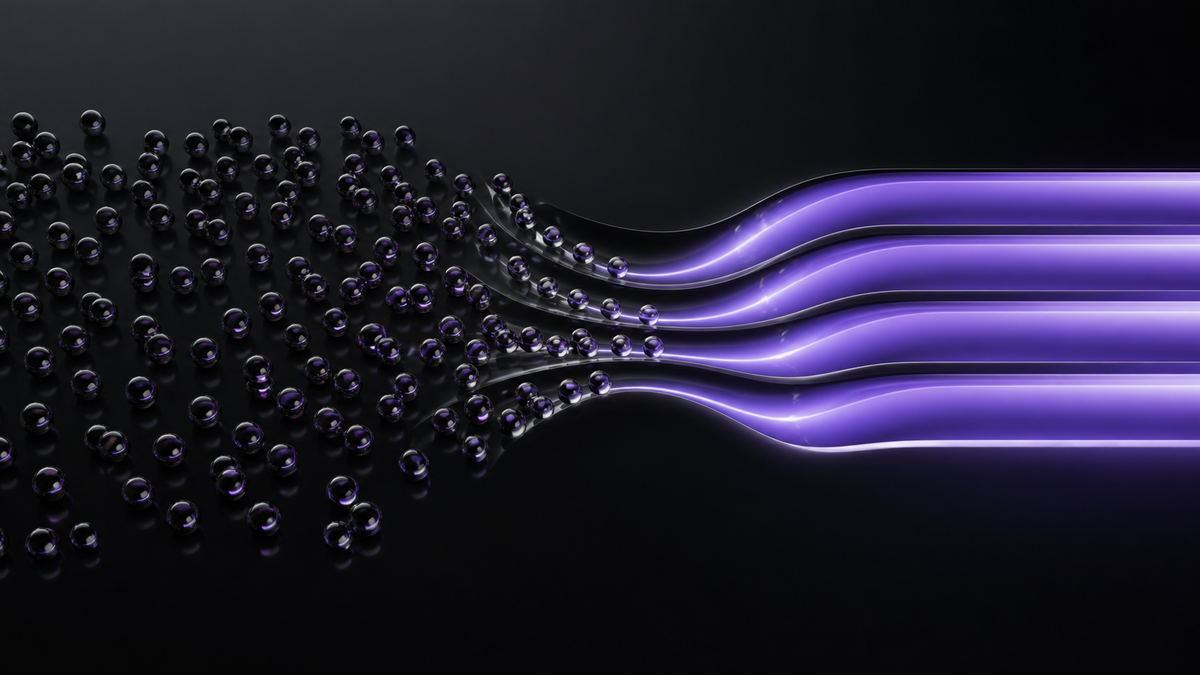 Organised ultraviolet pathways simplifying many household decisions into four calm default routes